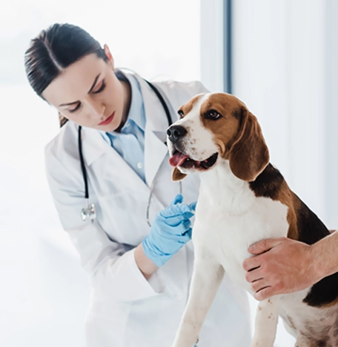 Toprakkale Veteriner