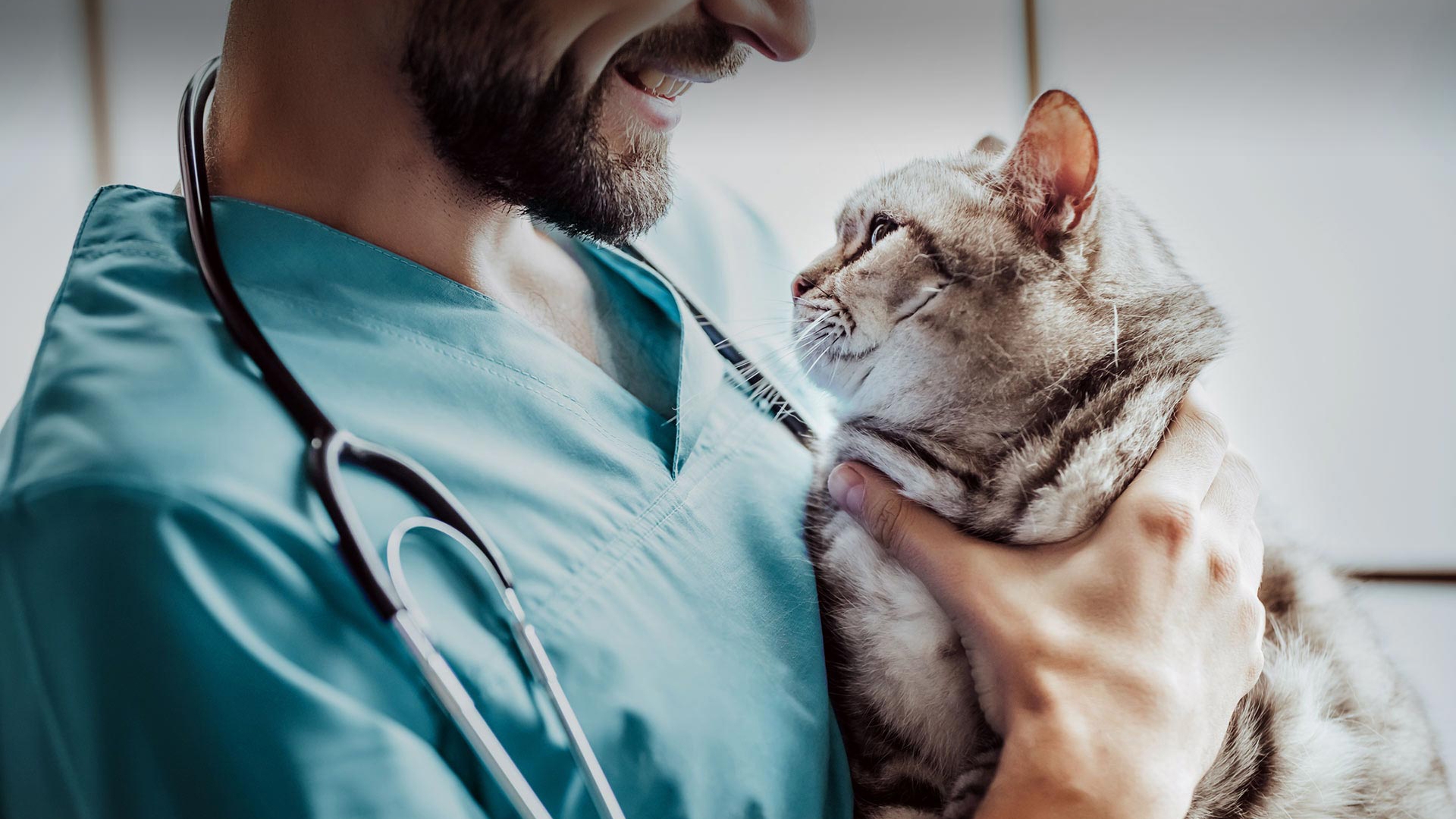 Toprakkale Veteriner